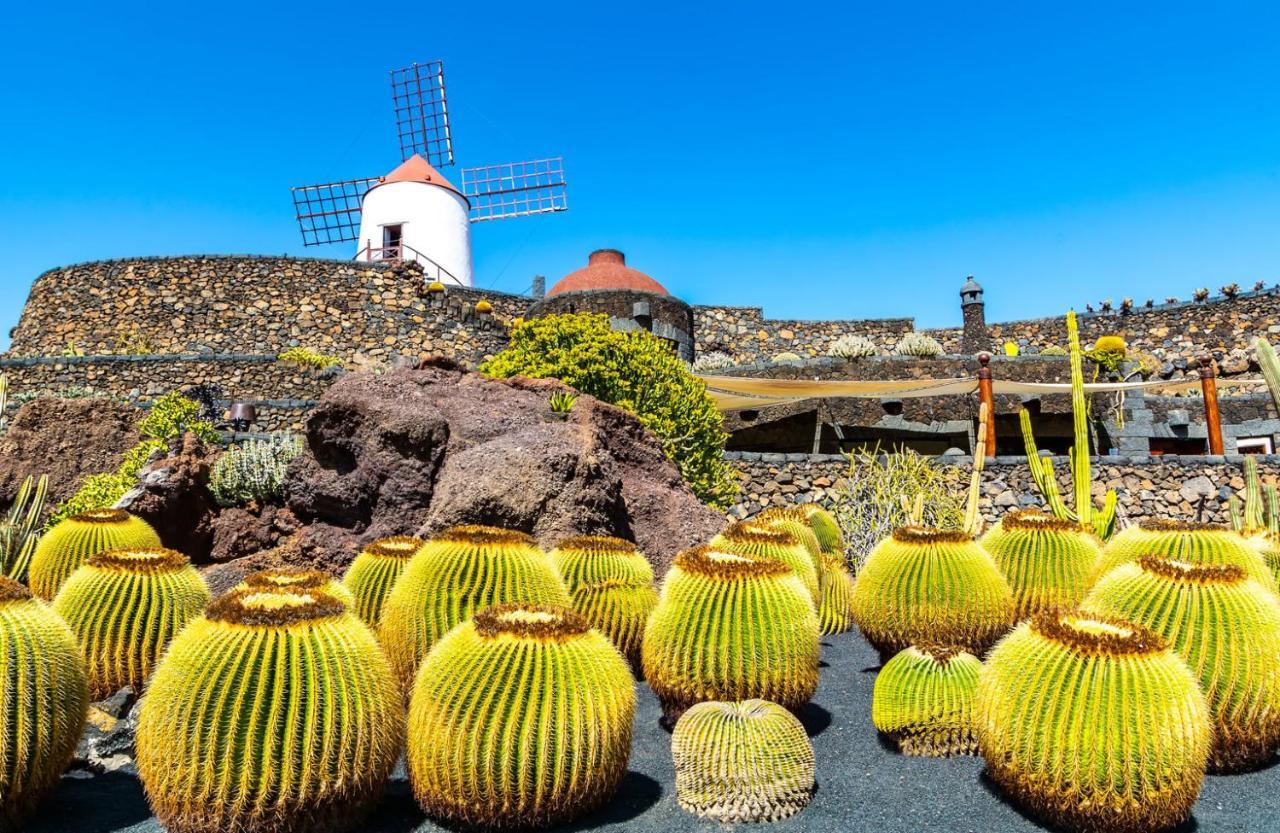 Casa Ballena Punta Mujeres ภายนอก รูปภาพ